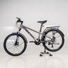 Xe Đạp Địa Hình HECTOR APOLLO 1B 24 INCH Xám