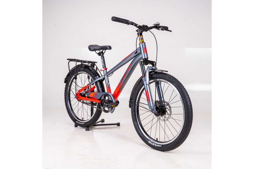 Ảnh minh họa Xe Đạp Địa Hình HECTOR ARES 3B 22 INCH Xám Đỏ 2