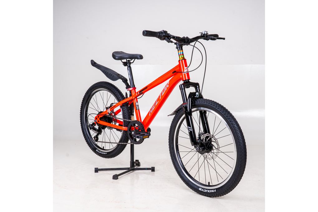 Ảnh minh họa Xe Đạp Địa Hình HECTOR RAFA 3 22 INCH Đỏ Xám 1