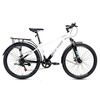 Xe Đạp Địa Hình HECTOR STRONG 2B 26 INCH Trắng