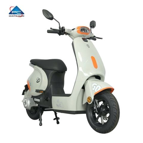 Xe Đạp Điện TaiLG GR56