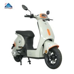  Xe Đạp Điện TaiLG GR56 