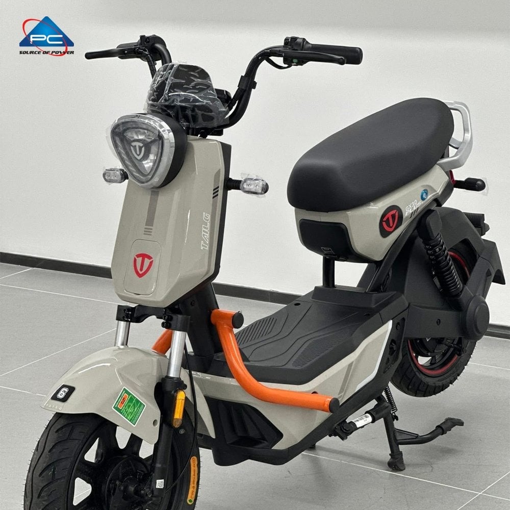 Ảnh minh họa Xe Đạp Điện TaiLG GX30 1