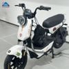 Xe Đạp Điện TaiLG GX30