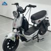 Xe Đạp Điện TaiLG GX30