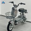Xe Đạp Điện TaiLG JS32