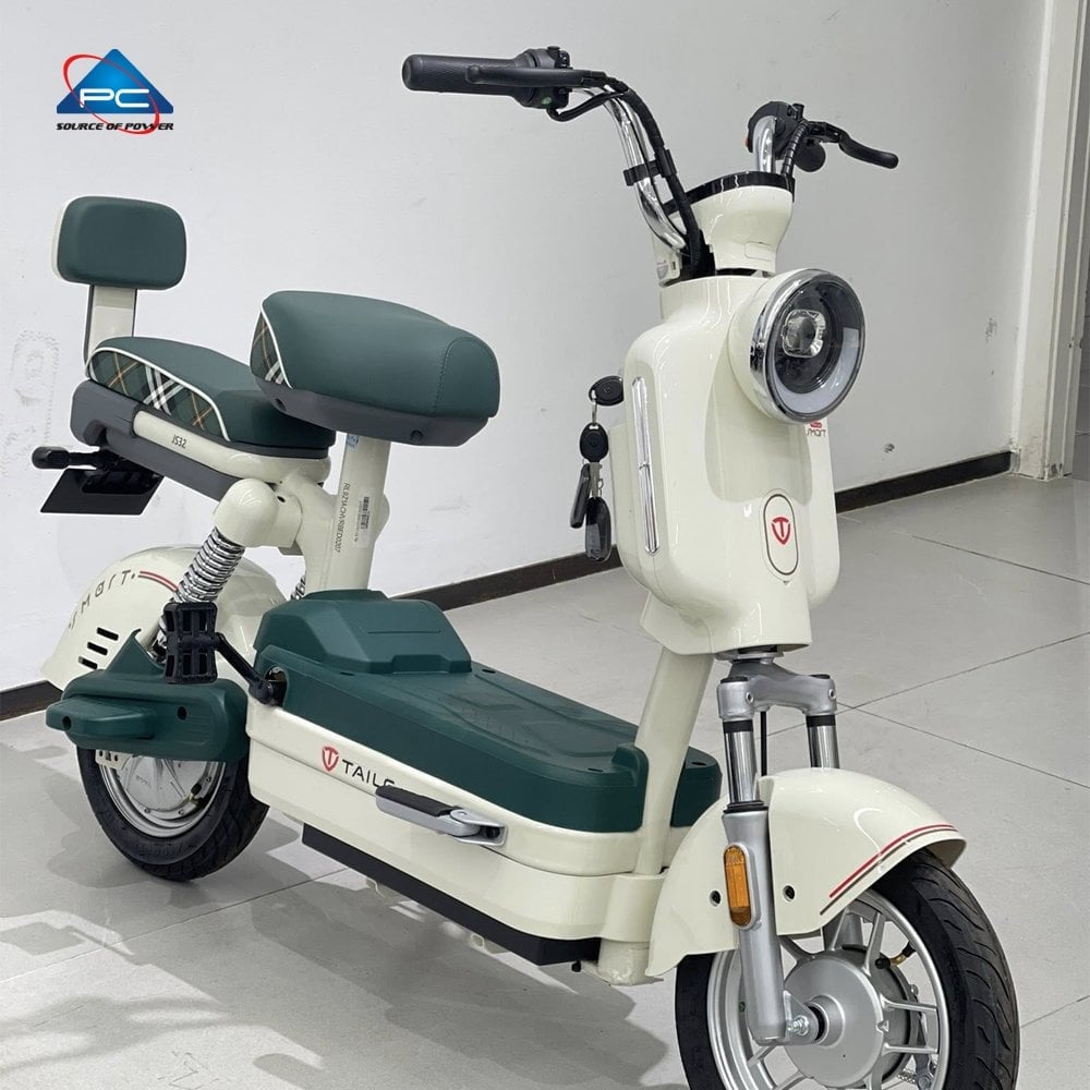 Xe Đạp Điện TaiLG JS32