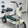 Xe Đạp Điện TaiLG JS32