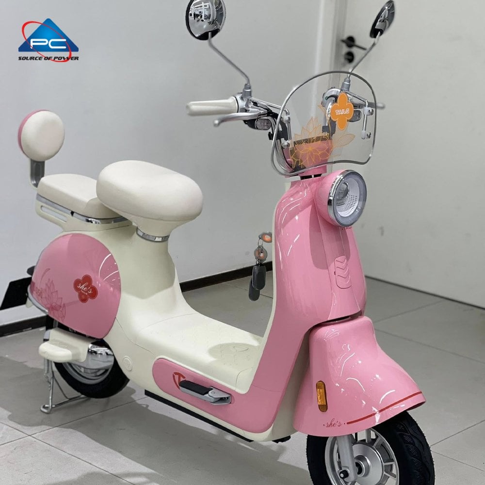 Ảnh minh họa Xe Đạp Điện TaiLG JS50 1