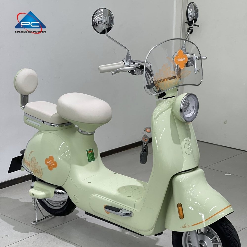 Xe Đạp Điện TaiLG JS50