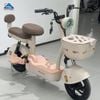 Xe Đạp Điện TaiLG JY33