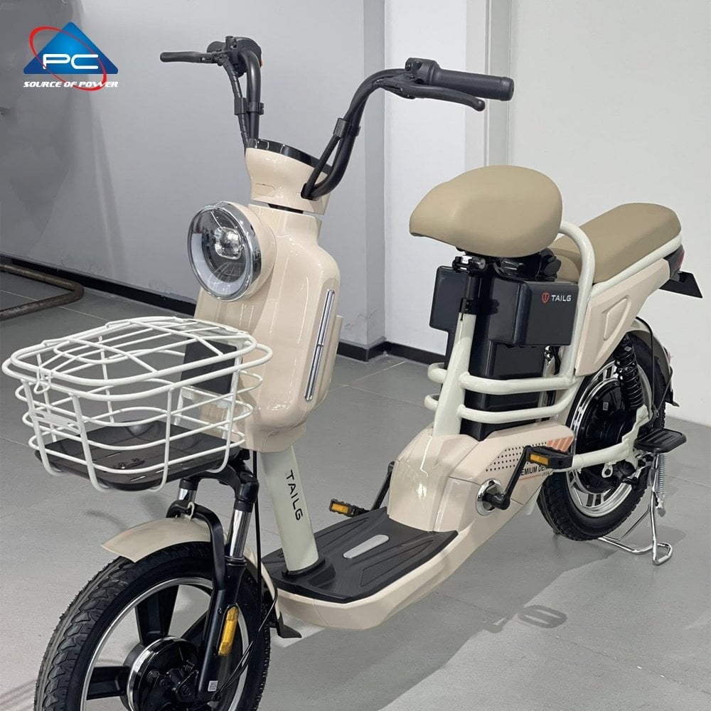 Ảnh minh họa Xe Đạp Điện TaiLG JY34 1