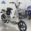 Xe Đạp Điện TaiLG JY34