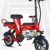 Xe đạp điện Theli pin 20A