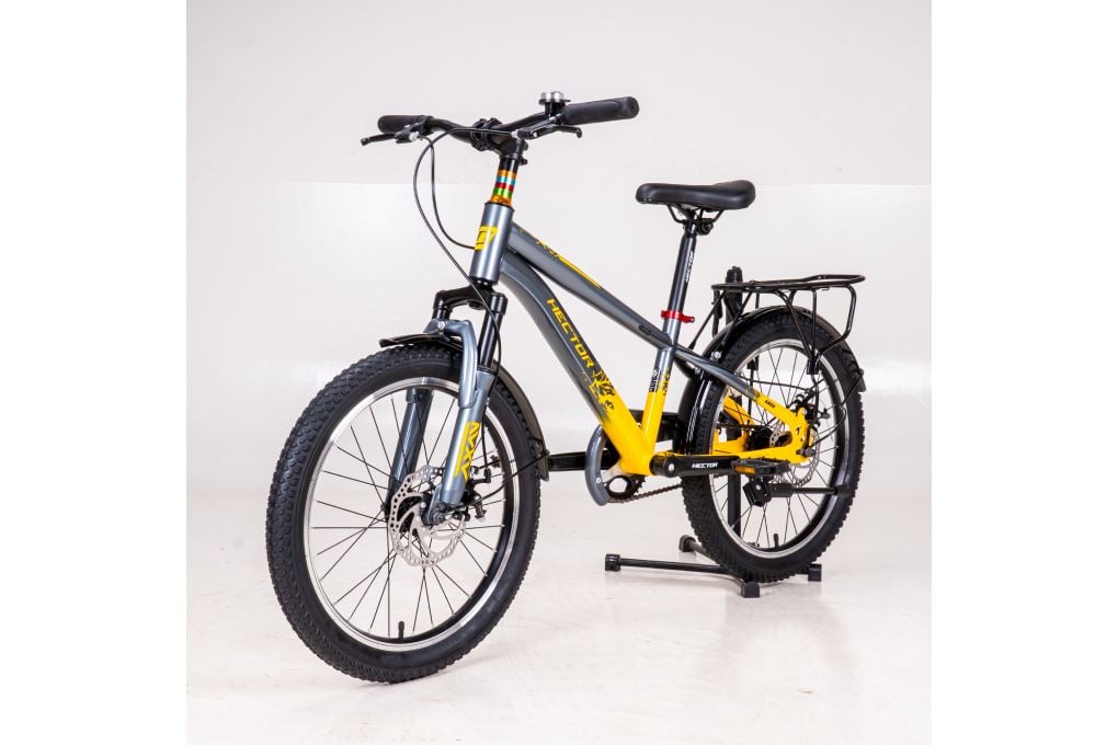 Ảnh minh họa Xe đạp trẻ em nam Hector Ares 2B 20 inch Xám Vàng 2