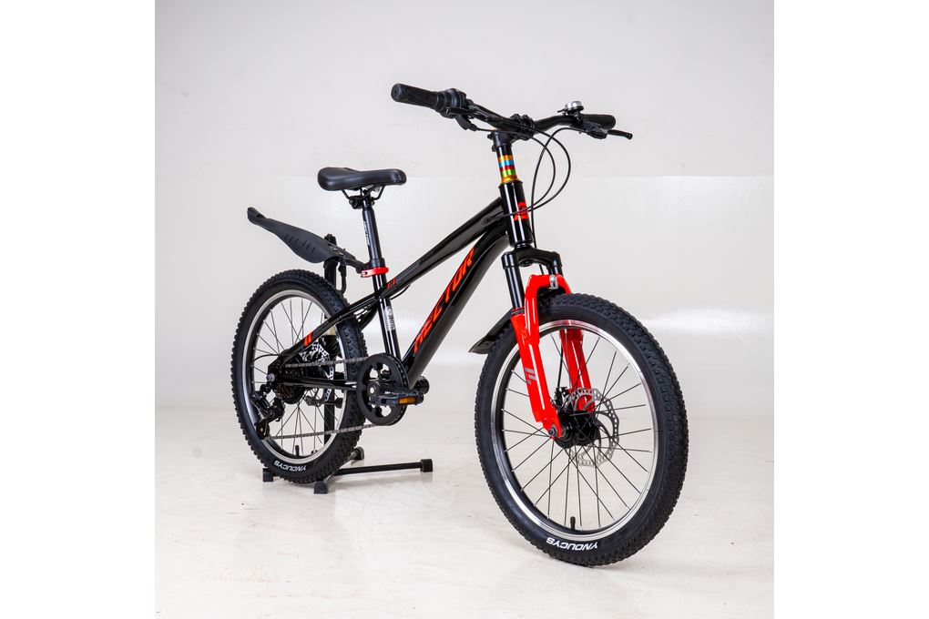 Xe Đạp Trẻ Em Nam HECTOR RAFA 2 20 INCH Đen Đỏ