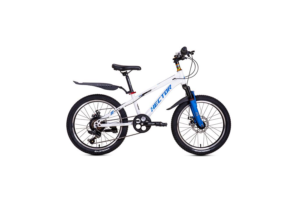 Ảnh minh họa Xe Đạp Trẻ Em Nam HECTOR RAFA 2 20 INCH Trắng Xanh dương 2