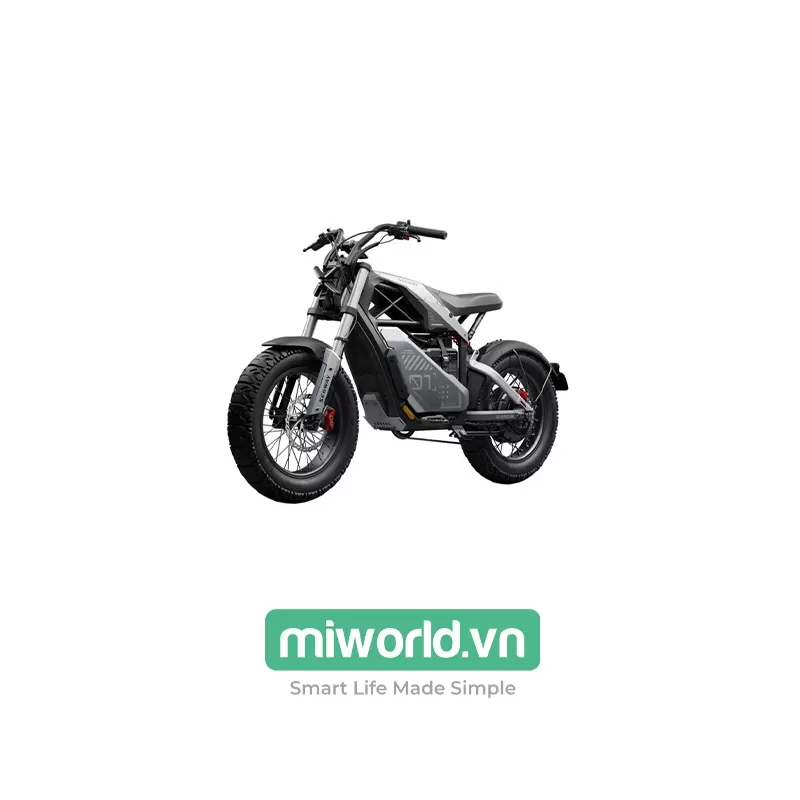 Xe Điện Segway Ninebot Xyber