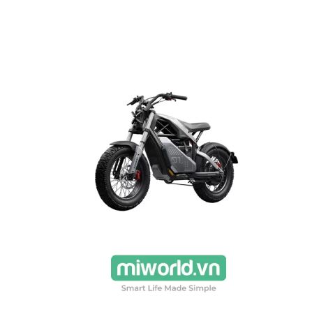 Xe Điện Segway Ninebot Xyber