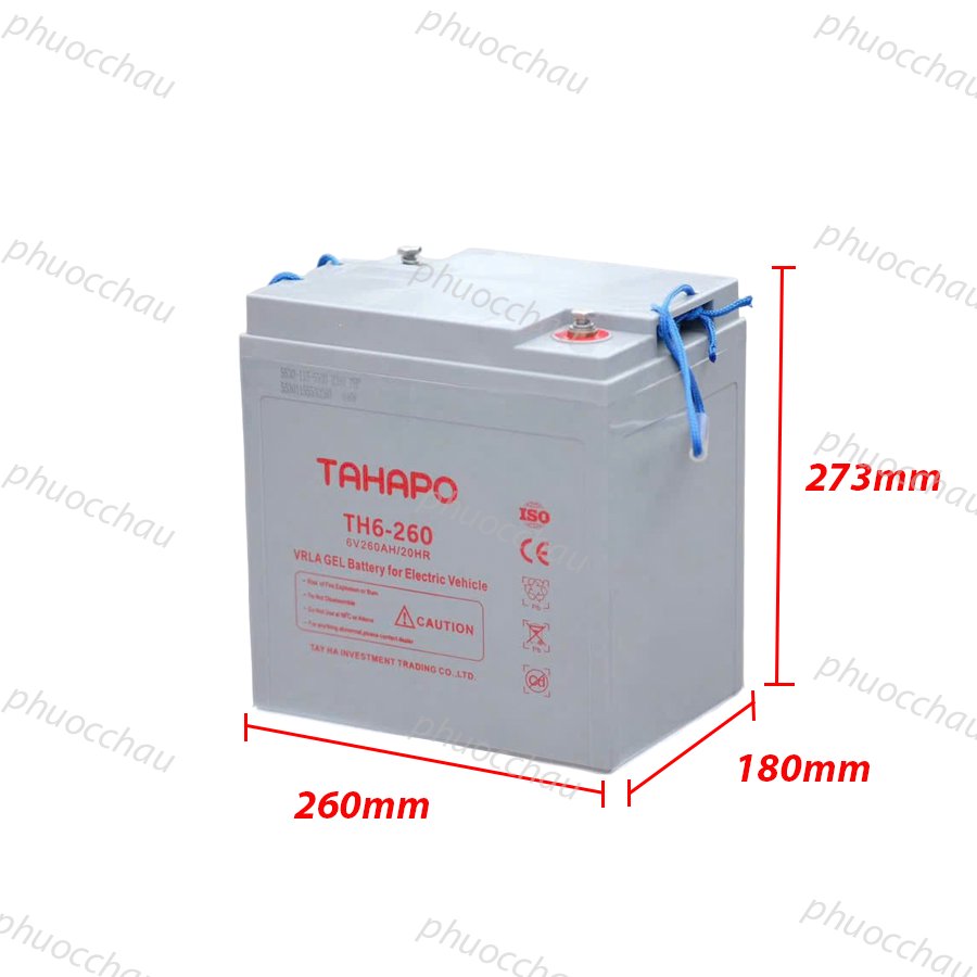 Ảnh minh họa Ắc Quy Tahapo TH6-260 6V-260Ah, ắc quy dùng cho xe điện, xe golf, xe chà sàn 1
