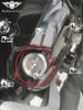 Ốc Nắp Nhớt Salaya Inox 304 [CTS V3] Win, Ex, Si, NVX, Sonic, Wave, Dr, Cub, Fu, AB, Vario, PCX, Vision, SH, SH Mode, Lead (Giá 1 Ốc) MS7006