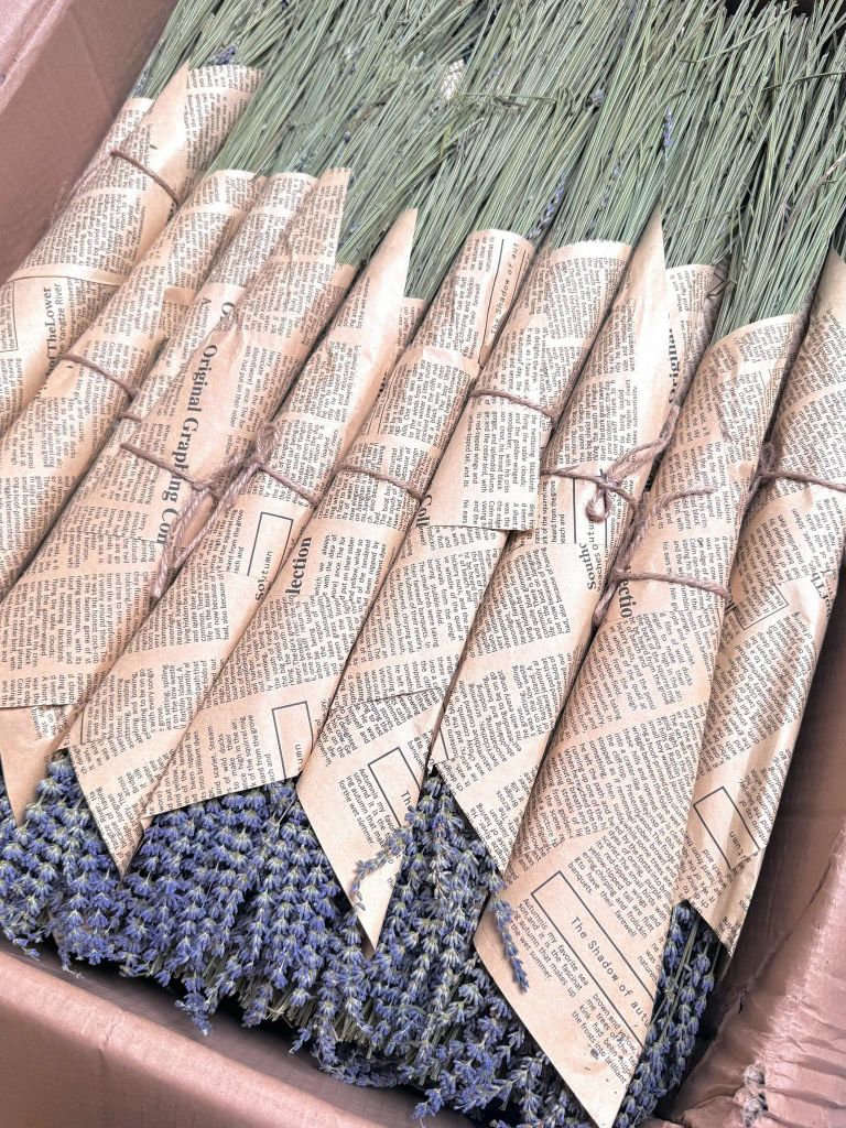 Hoa Lavender khô thơm phòng