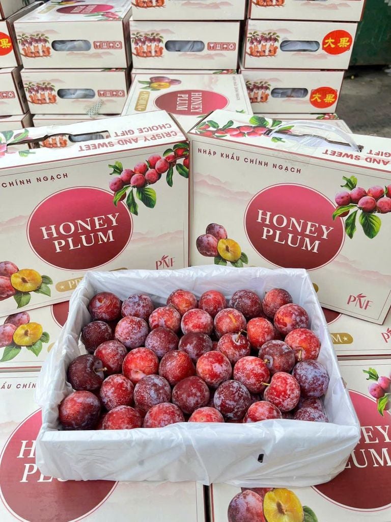 Mận mật giòn ngon