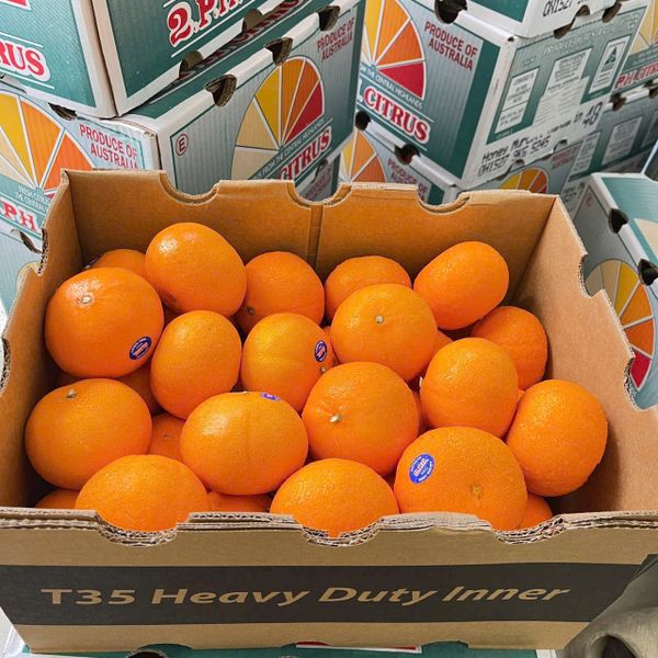 Quýt úc PH 5.6