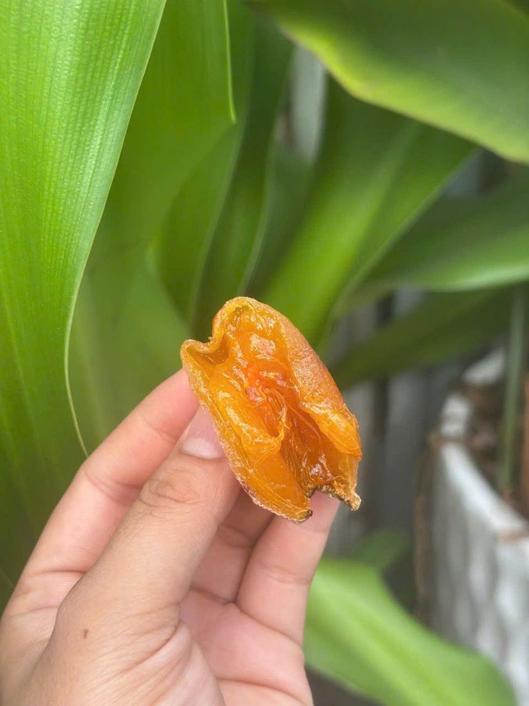 Hồng treo gió (Hộp 500gr)