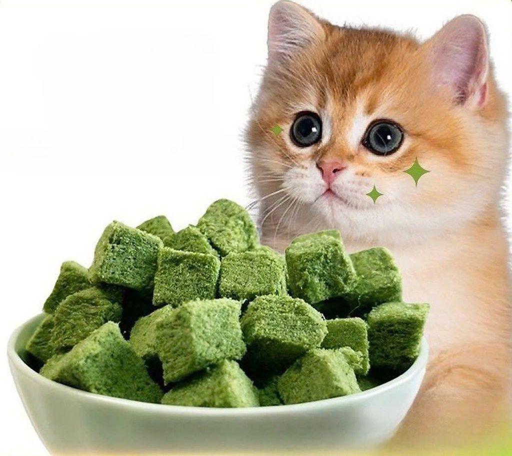 Cỏ gà viên Catnip sấy thăng hoa tiêu búi lông giảm stress