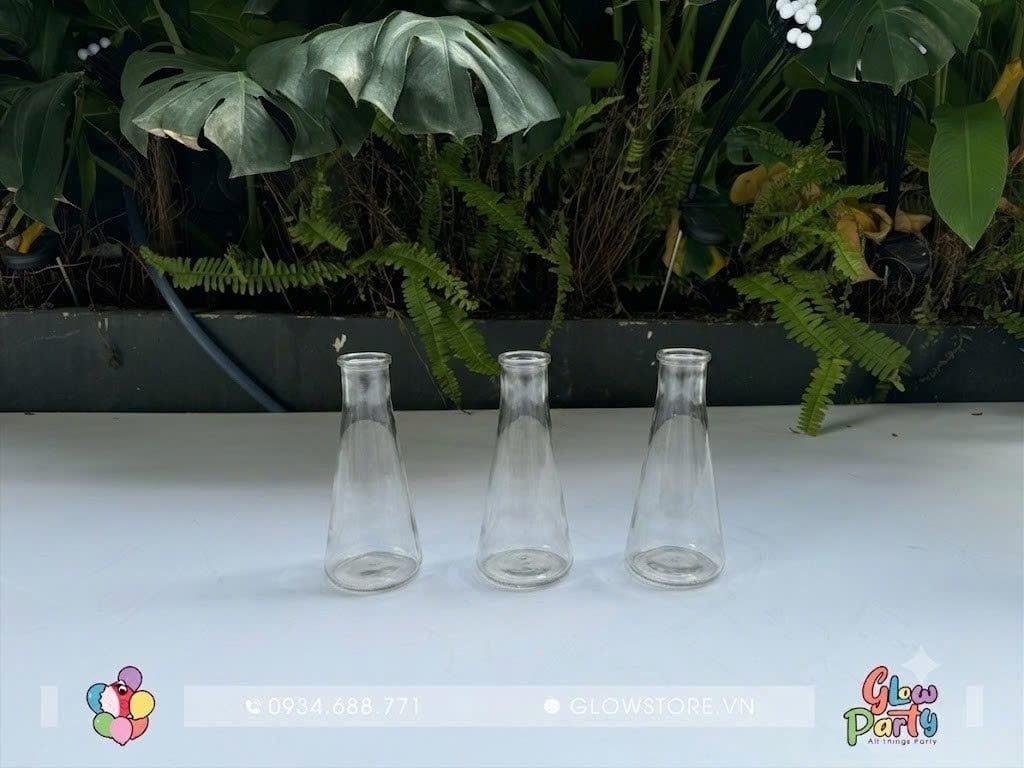 Bộ 3 bình cắm hoa - thủy tinh - tam giác cao