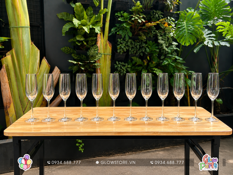 Cho thuê set 12 ly rượu champagne dáng thon cao bằng thủy tinh trong suốt cao cấp cho bàn tiệc sự kiện hội nghị tiệc cưới