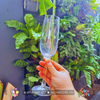 Thuê Set 12 ly rượu Champagne thon - Ly thuỷ tinh