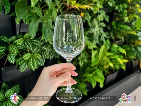 Thuê Set 6 Ly Thuỷ Tinh Uống Rượu Vang giá rẻ tại HCM 
