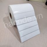 Giấy decal (50x20)mm x 50m – 2 tem/hàng