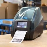 Máy in mã vạch CAB MACH 4S 300dpi Type P