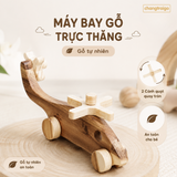 Combo đặc biệt 7 chiếc