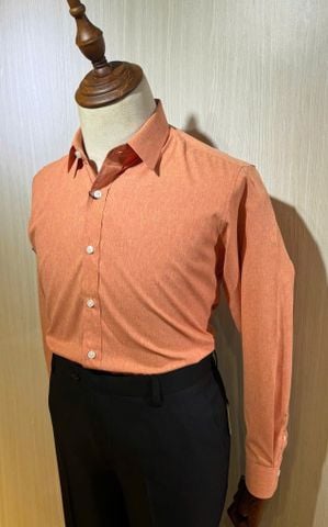  TAY DÀI TD250071 