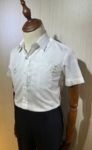  TAY NGẮN TN250031 