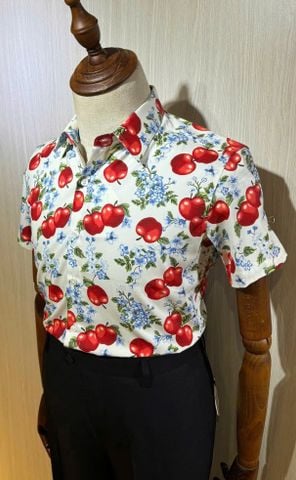  TAY NGẮN TN250081 