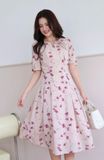  ĐẦM 3716 