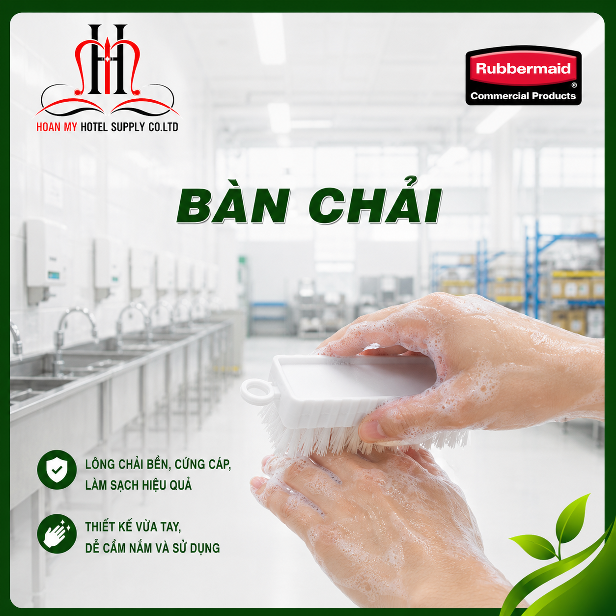 Bàn chải 