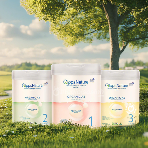 Sữa GippsNature Organic A2 các số 1 2 3 trên đồng cỏ Úc, nguồn gốc sữa từ Gippsland