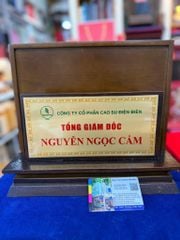 In Bảng Tên Chức Danh Để Bàn, Bảng Hiệu Giám Đốc Treo Tường Sang Trọng