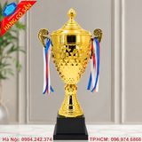 Cúp vàng trao giải sang trọng cho doanh nghiệp và tổ chức.