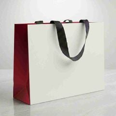 Cung cấp túi giấy đựng quà tặng có sẵn giá rẻ, bán sỉ, lẻ
