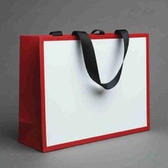 Bán túi đựng quà giấy các màu đủ size
