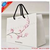 Túi giấy đựng quà cao cấp sang trọng