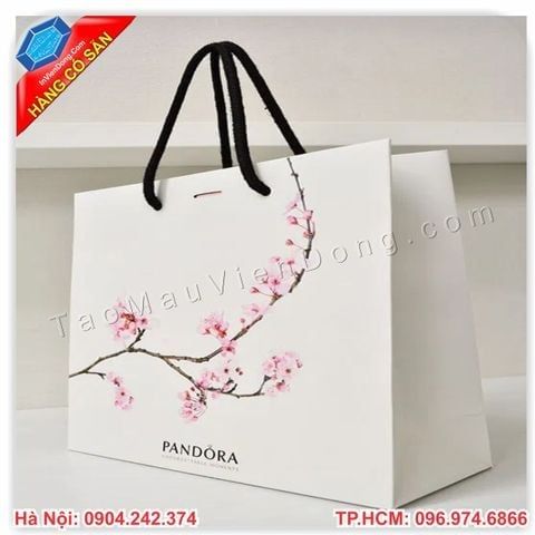 Túi giấy đựng quà cao cấp sang trọng
