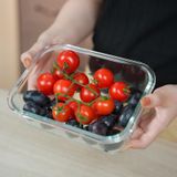 Hộp Thủy Tinh Hút Chân Không Cao Cấp Masuto Dung tích 1040ml